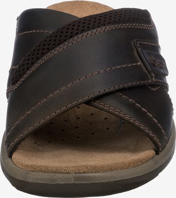 SALAMANDER Mules 'Logato' in Brown