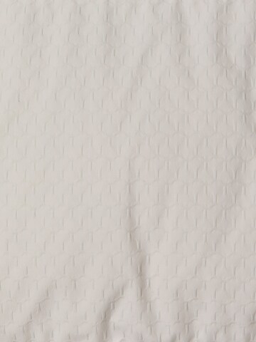 Schott NYC Winter Coat in Grey