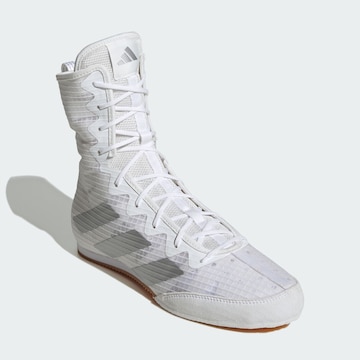 Chaussure de sport 'Box Hog 4' ADIDAS PERFORMANCE en blanc