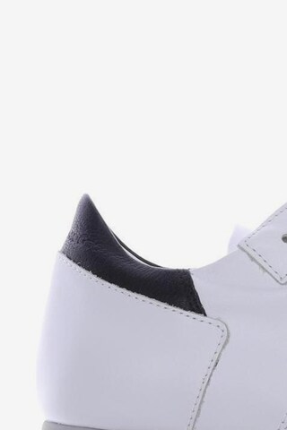 Philippe Model Sneaker 38 in Weiß
