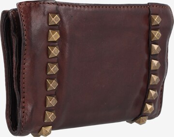 Campomaggi Wallet in Brown