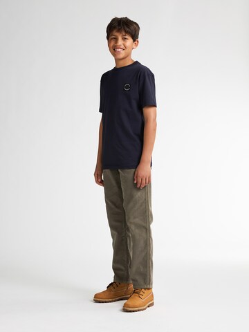 Petrol Industries Regular Pants in Green