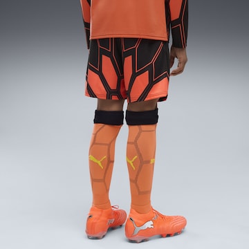 PUMA Regular Workout Pants 'Borussia Dortmund' in Orange