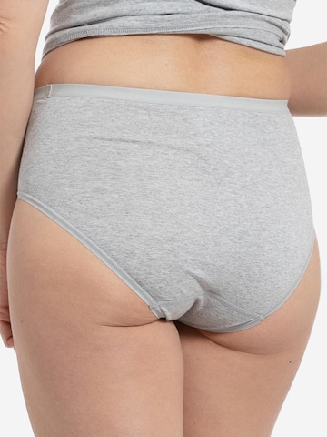 SPEIDEL Slip 'bio.cotton Plus' in Grau