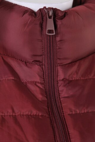 ZEBRA Jacket & Coat in XS in Red