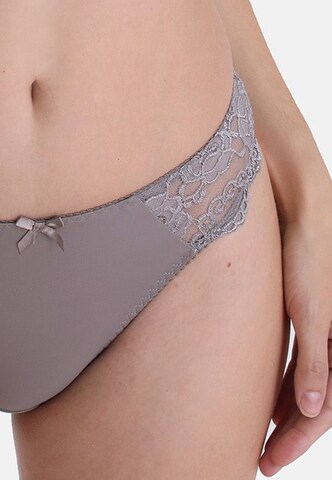 sassa Panty 'CLASSIC LACE' in Brown