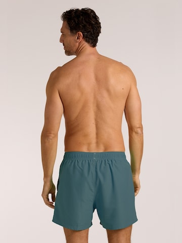 Pantaloncini da bagno di wavebreaker in blu