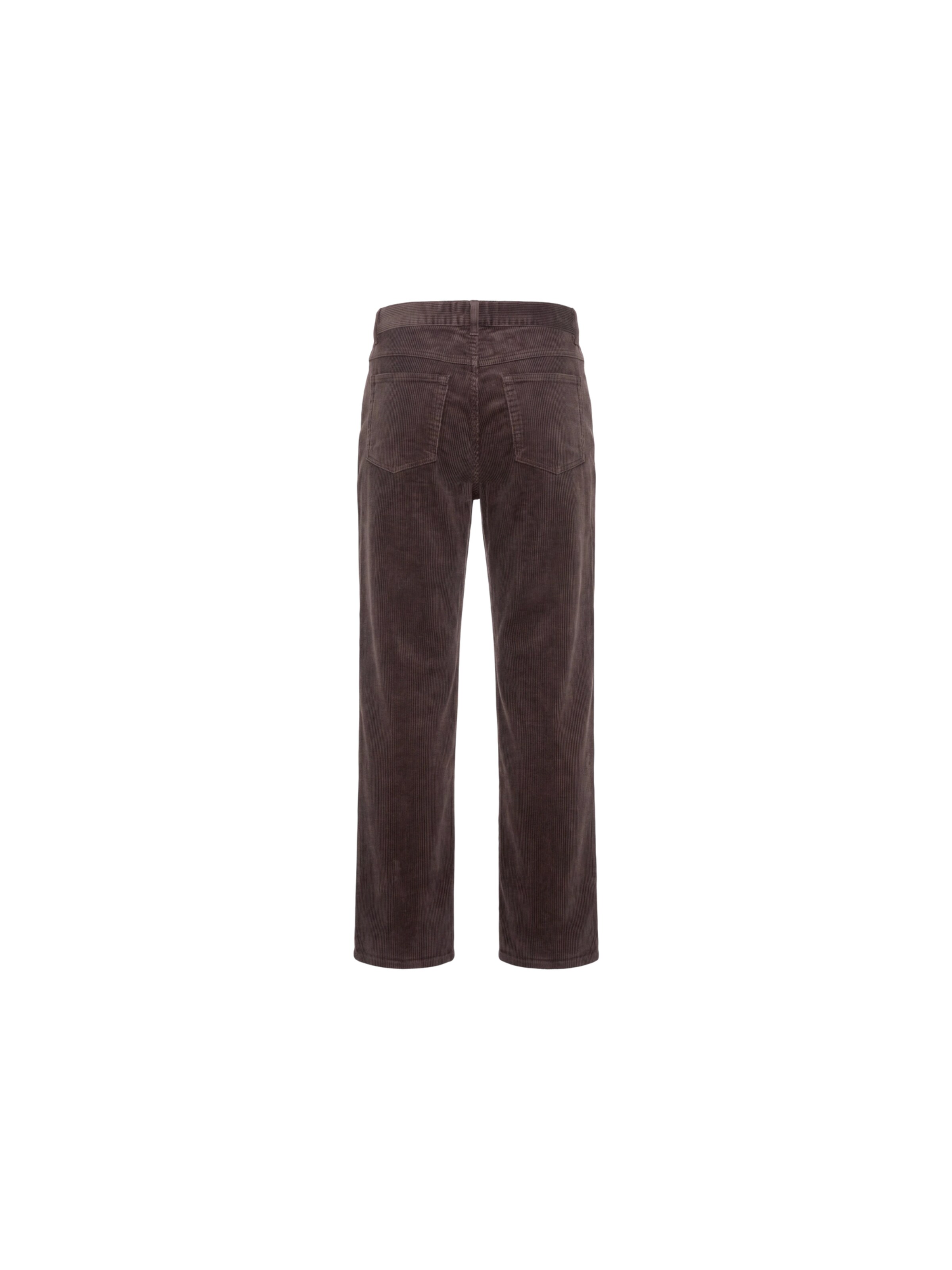Regular Pantalon 'Andre' DAN FOX APPAREL en marron