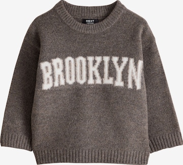 Next Trui in Bruin: voorkant