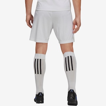 ADIDAS SPORTSWEARregular Sportske hlače 'Entrada 22' - bijela boja