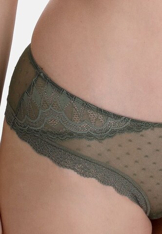 Culotte 'FILIGREE WINTER' sassa en vert