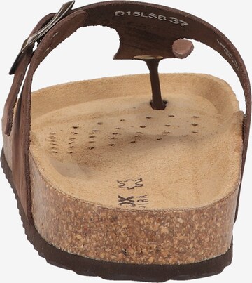 GEOX T-Bar Sandals in Brown