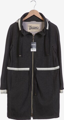 Herno Jacket & Coat in M in Grey: front