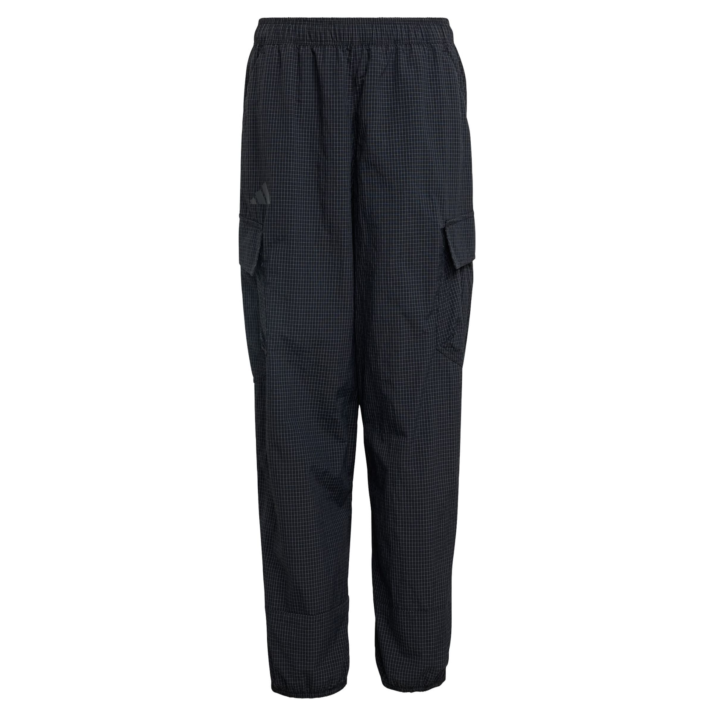 ADIDAS TERREX - Pantalón de montaña 'Xploric' en negro: frente