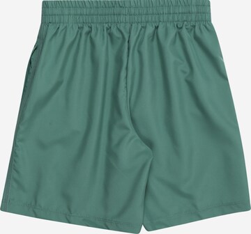 NIKE Regular Sportshorts in Grün