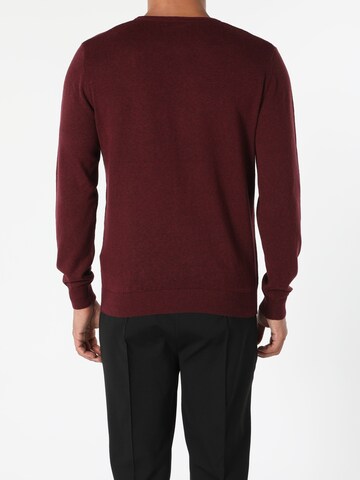 Colin's Trui in Lila