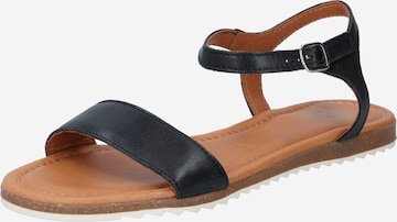 Apple of Eden Strap Sandals in Black: front