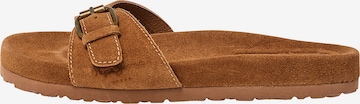 Pepe Jeans Mules 'OBAN BASIC' in Brown: front