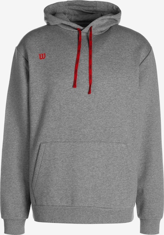 WILSON Sweatshirt in Grau: predná strana