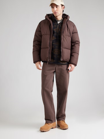 HOLLISTER Zimska jakna | rjava barva