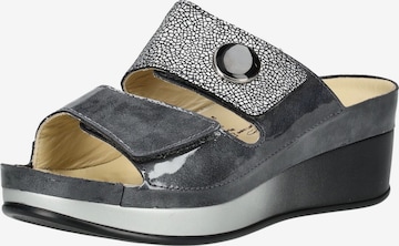 Mule vital en gris : devant