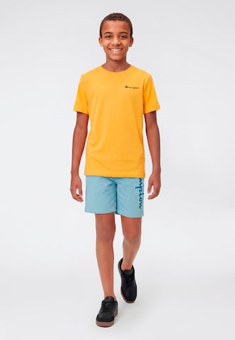 Champion Board Shorts in Blue