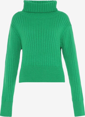 Libbi Sweater in Green: front