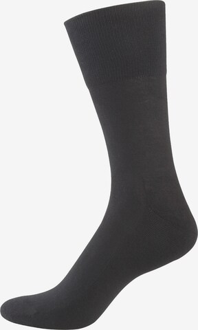 Chaussettes 'Aktiv' Nur Der en gris