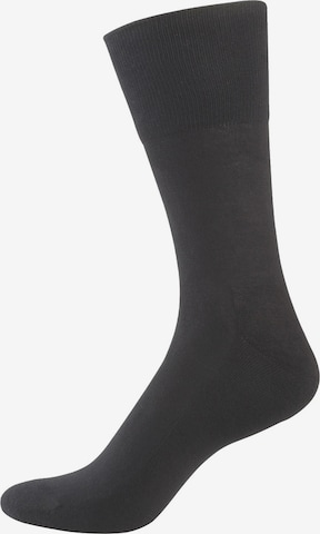 Nur Der Socken 'Aktiv' in Grau