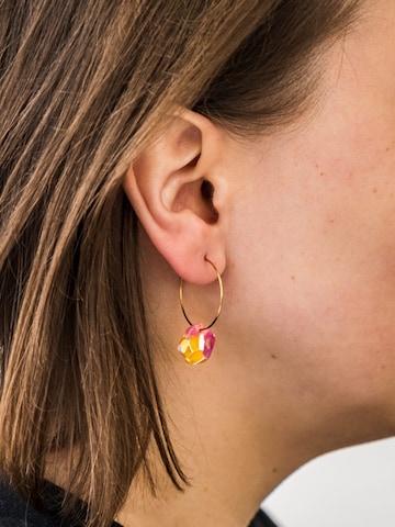 Fräulein Wunder Ohrringe 'Acetat Creolen Alice'‌‌‌‌‌‌‌ in Pink: Vorderseite