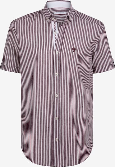 Felix Hardy Paita värissä viininpunainen / valkoinen, Tuotenäkymä