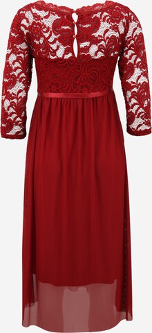 MAMALICIOUS Dress in Red: front