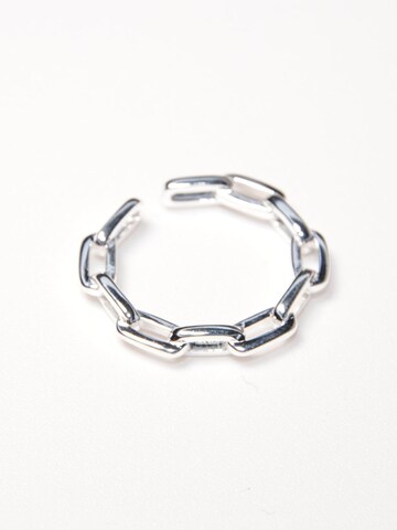 ARS-ARGENTI Ring '#013' in Silver: front