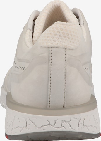 LLOYD SELECTED Sneaker in Beige