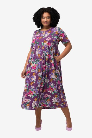 Robe Ulla Popken en violet