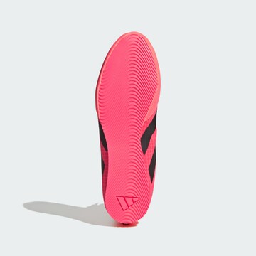 Scarpa sportiva 'Box Hog 4' di ADIDAS PERFORMANCE in rosa