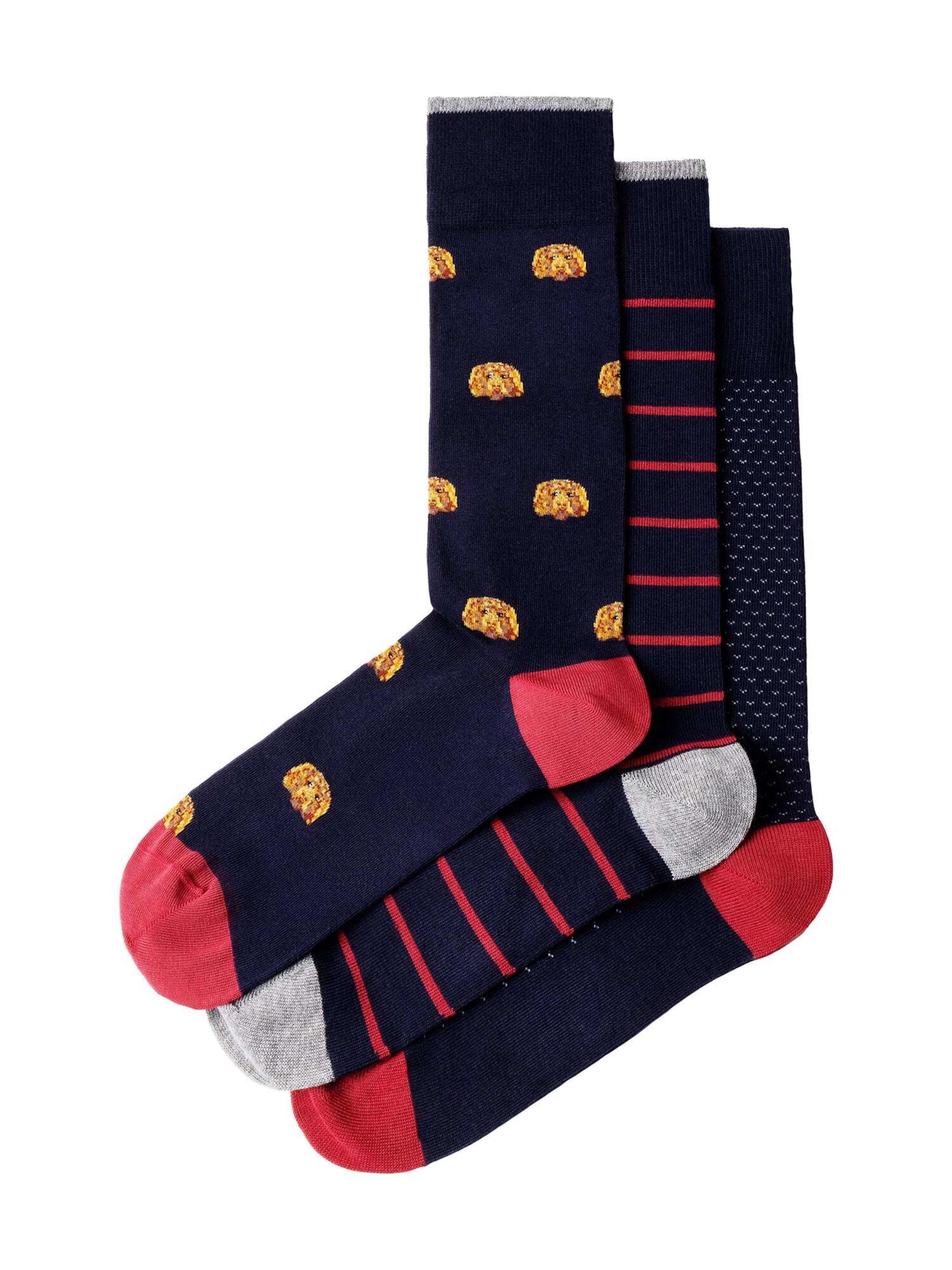 Hackett London Socken ' HARRY ' in Blau: Vorderseite