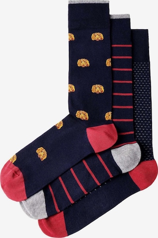 Hackett London Socken ' HARRY ' in Blau: Vorderseite