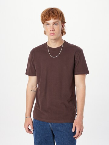 T-Shirt HOLLISTER en marron : devant