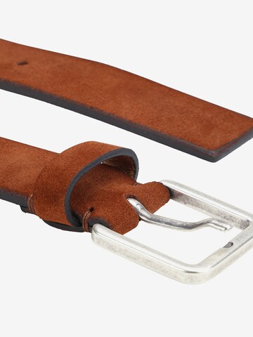 ROYAL REPUBLIQ Belt in Brown