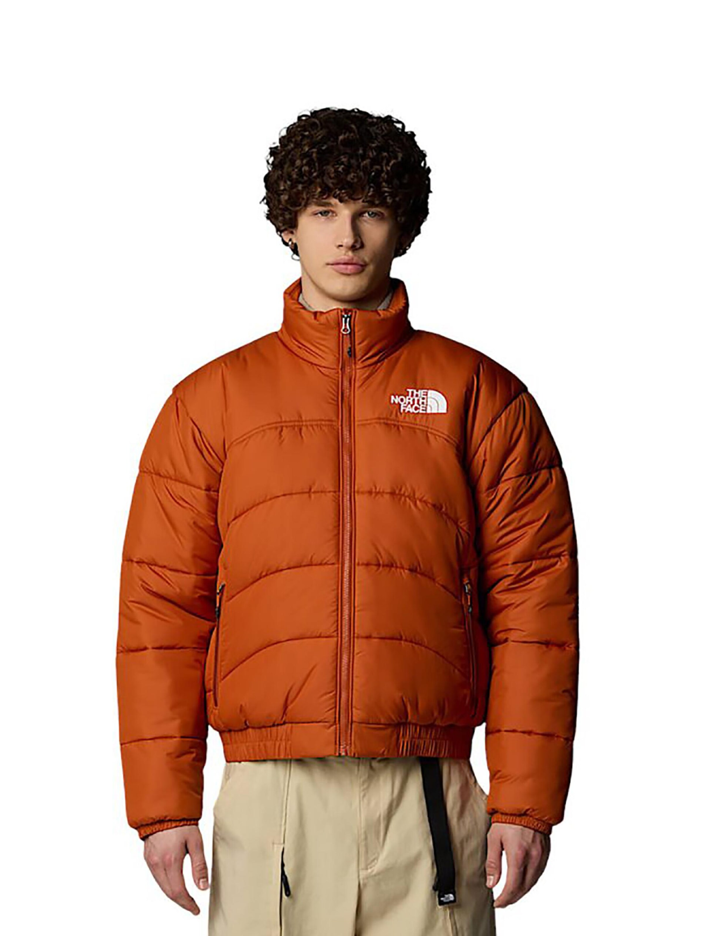 THE NORTH FACE Winter Jacket 'Summit Puffer 2000' in Brown