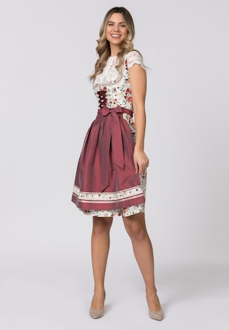 STOCKERPOINT Dirndl 'Marie' in Mixed colors