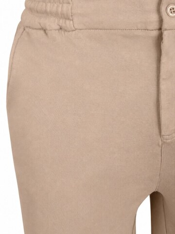 Suitable Regular Hose 'Jink' in Beige