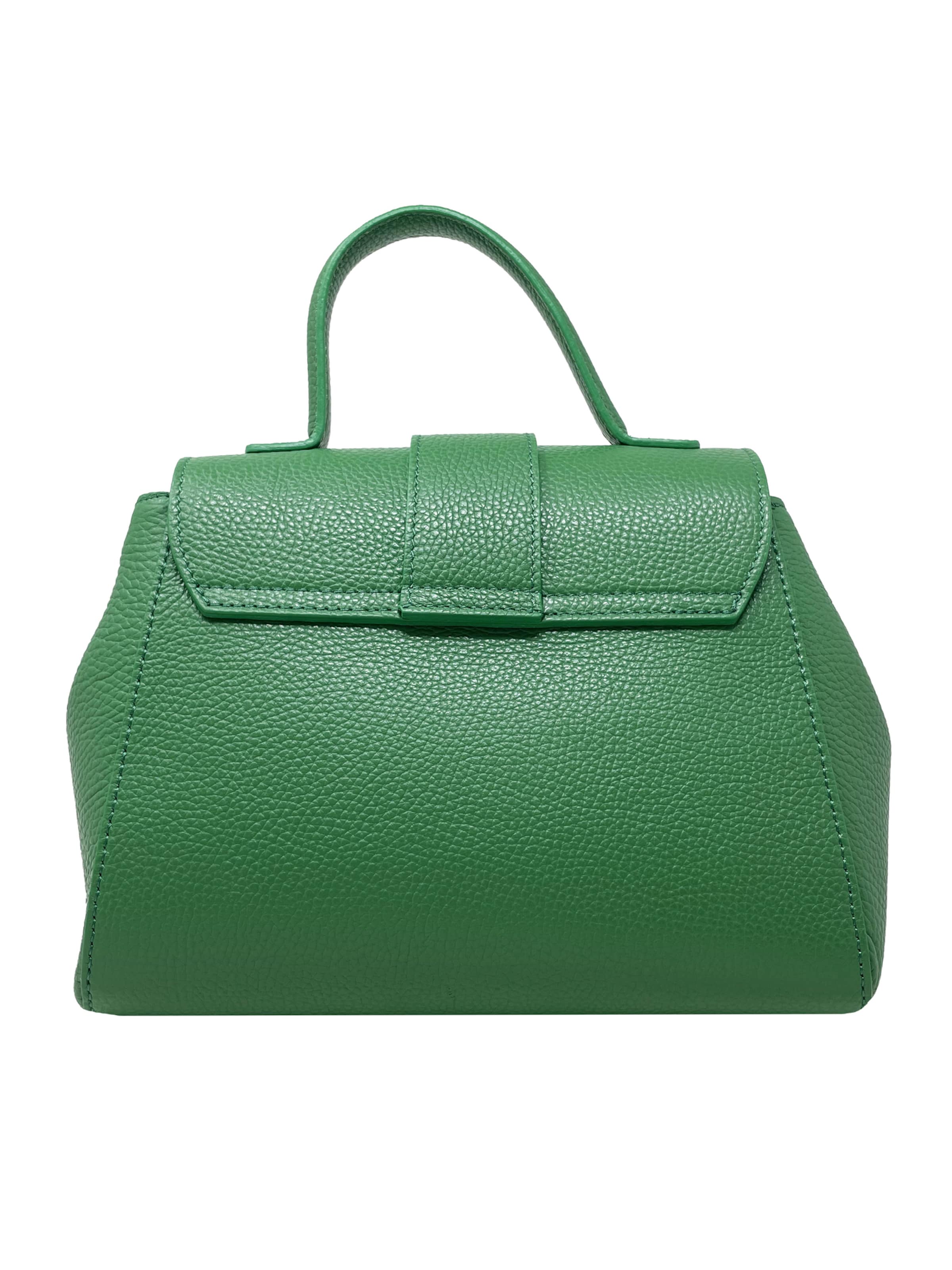 CHICCA BORSE Handbag in Green