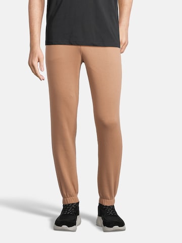 AÉROPOSTALE Tapered Broek in Beige: voorkant