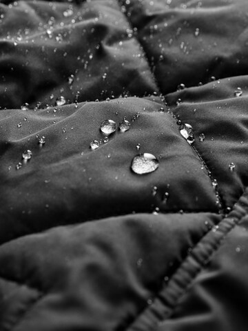Next Between-season jacket in Black