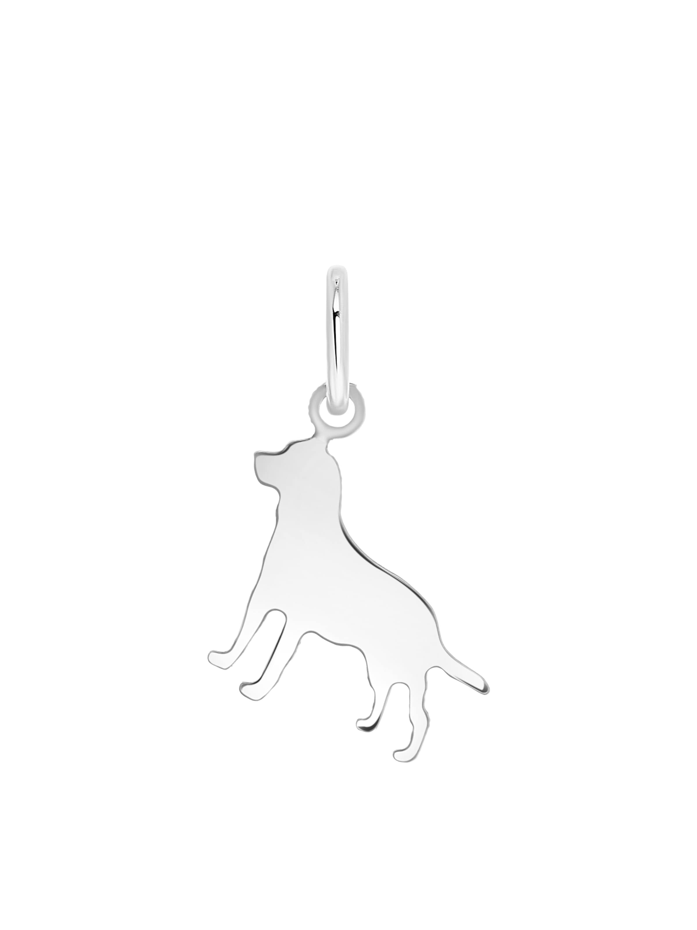 Lucardi Hangers 'Basic' in de kleur Zilver, Productweergave