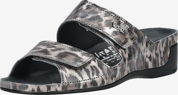 Mule vital en gris : devant