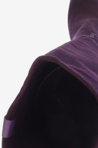 DIESEL Dress Boots in 37 in Purple