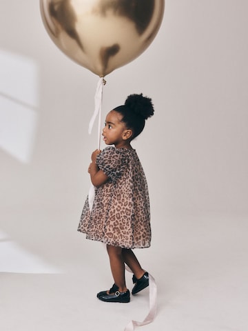 Next Dress in Brown